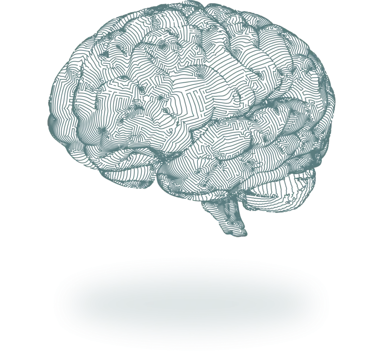 knowledge_bank@2x.webp. .